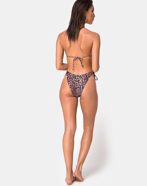 Lucky Swimsuit in Magic Leopard