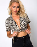 Marleigh Crop Top in Cheetah