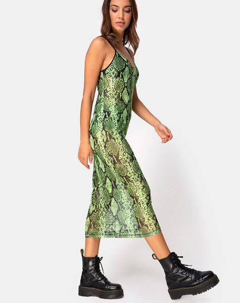 Midnight Midi Dress in Slime Lime Snake Mesh