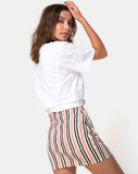 Mini Broomy Skirt in Classic Stripe Vertical