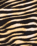Molemo Plunge Bodice in Zip's Zebra Brown
