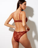 Evelyn Lace Brief in Picante