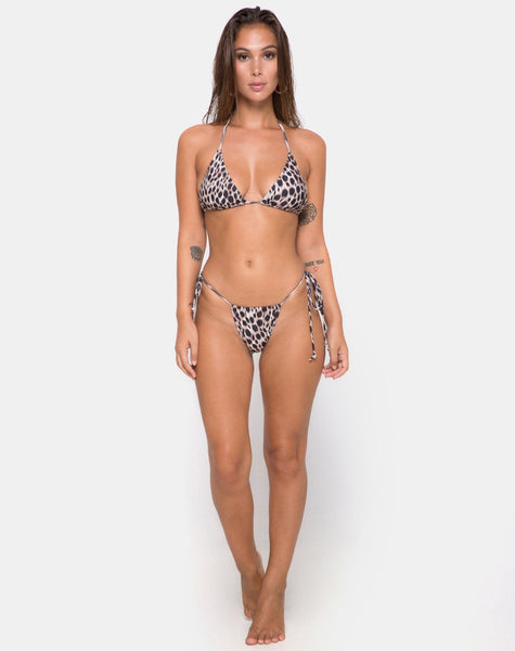 Mone bottom Bikini in Original Cheetah