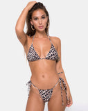 Mone bottom Bikini in Original Cheetah