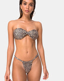 Nevada Bikini Top in Rar Leopard