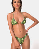 Pami Bikini Bottom in Slime Lime Snake