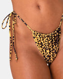 Leyna Bikini Bottom in Golden Cheetah