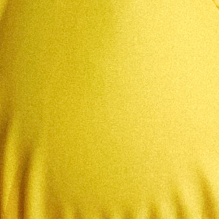 Parmia Bikini Top in Yellow