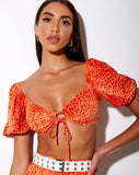 Chelin Crop Top in Gradient Cheetah Tangerine