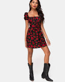 Ruzenta Mini Dress in Roaming Rose Black