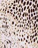 Vor Top in Sand Leopard