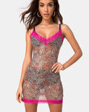 Sheys Dress Mini Tiger Mesh with Violet Lace