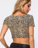 Shim Cutout Crop Top in Rar Leopard