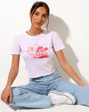 Shrunk Tee in Baby Pink Paradise Dolphin