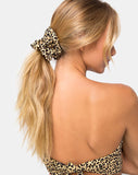 Scrunchie in Rar Leopard