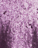 Valley Slip Dress in Amethyst Sequin