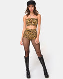 Villy Tube Top in Leopard