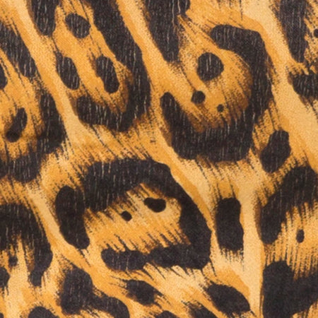 Hilly High Waist Hot Pant in Leopard