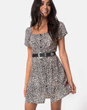 Zavacca Dress in Rar Leopard