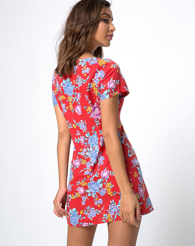 Zavacca Tea Dress in Vintage Fleur