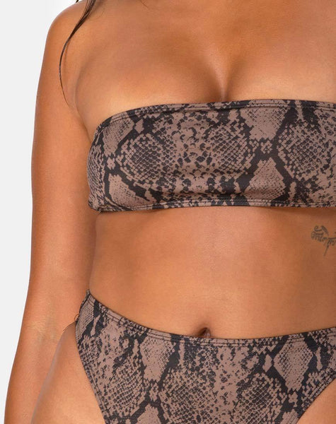 Izarla Bikini Bottom in Snake Taupe