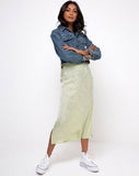 Tindra Skirt in Satin Zebra Pistachio