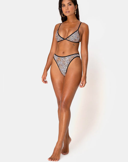 Varna Bikini Bottom in Mini Tiger with Black Binds