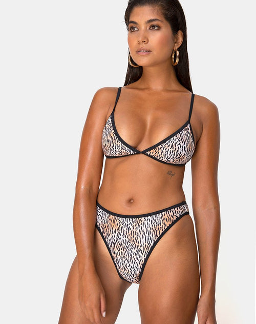 Varna Bikini Top in Mini Tiger with Black Binds