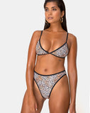 Varna Bikini Bottom in Mini Tiger with Black Binds